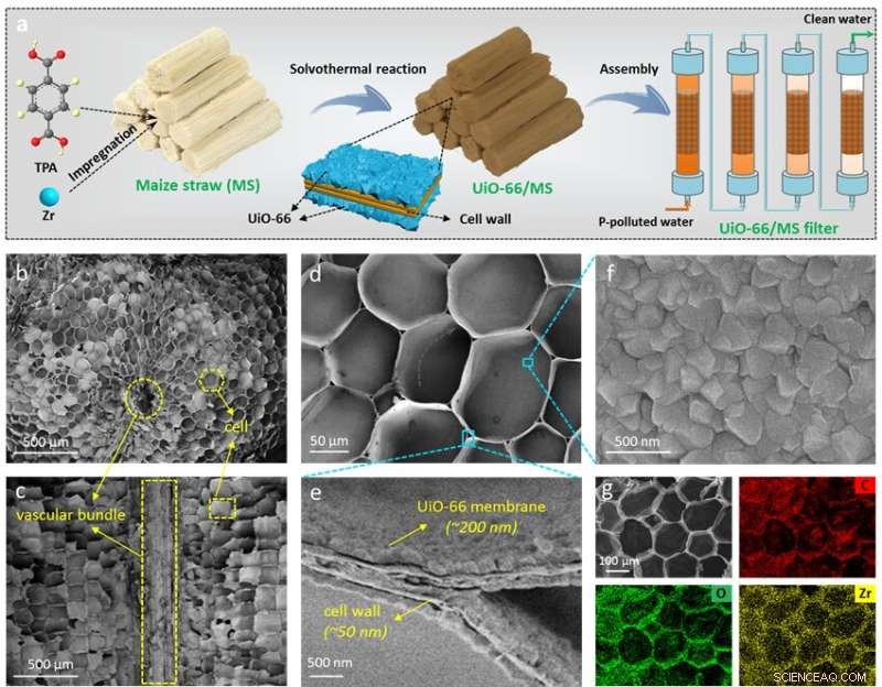 Efficient Phosphate Removal Using a Filter Made from Waste Maize Straw