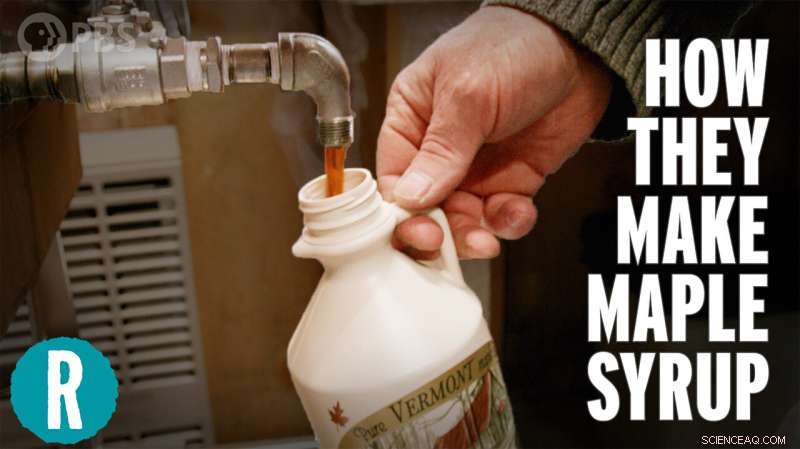 Why Grade B Maple Syrup Is No Longer Produced: A Scientific Insight