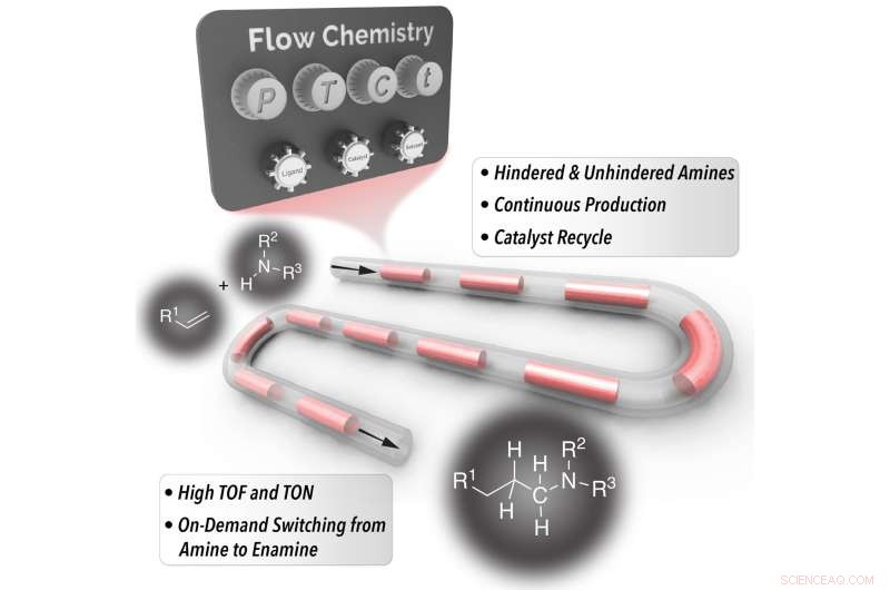 NC State Breaks New Ground: Cost‑Effective, Rapid Continuous Flow Production of Hindered Amines