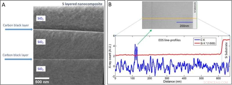 Seashell-Inspired Sugar-Based Coating Enhances Material Durability in Harsh Conditions