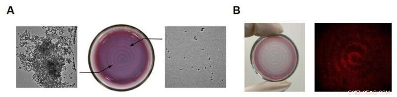 Harnessing Audible Sound for Precise Spatiotemporal Control of Chemical Reactions