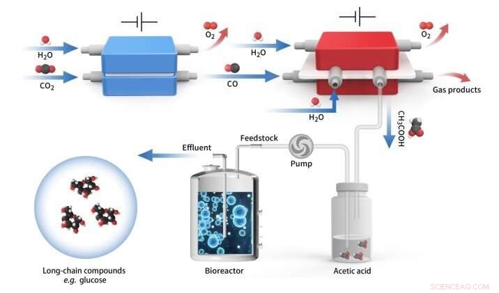Hybrid Electro‑Biosystem Upcycles CO₂ into Energy‑Rich Long‑Chain Compounds