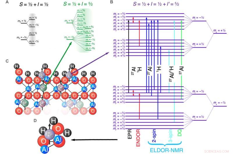 Pioneering Materials Science for Next-Generation Superconducting Quantum Circuits