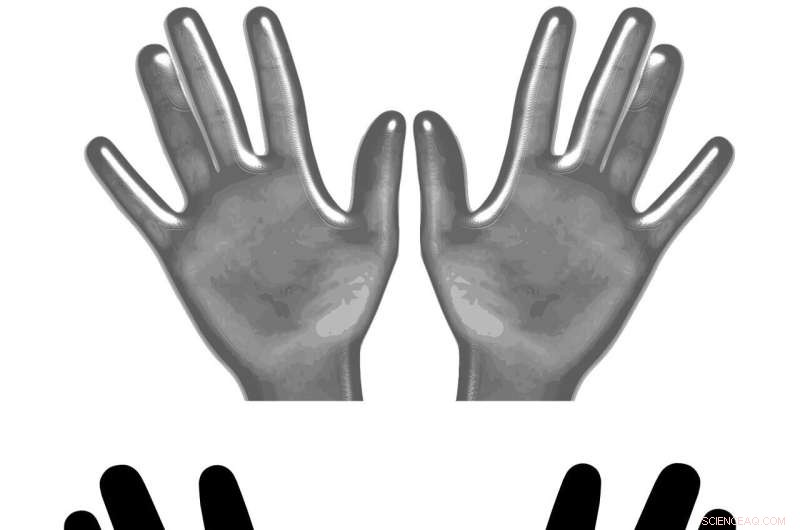 Understanding Chemical Networks: The Key to Life s Chirality