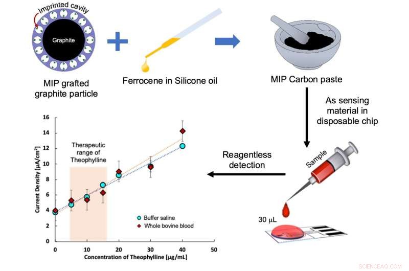 Rapid Graphite‑Based Sensor Chip for Real‑Time Theophylline Monitoring