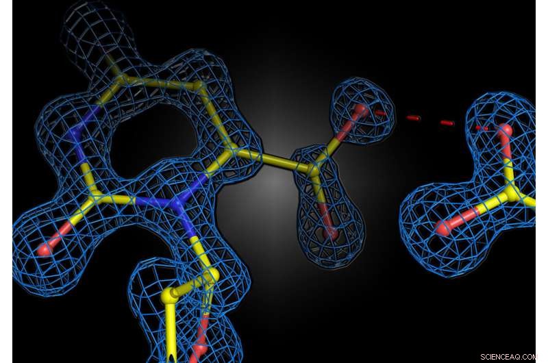 Like-Charged Interactions in Enzymes Drive Key Biochemical Reactions