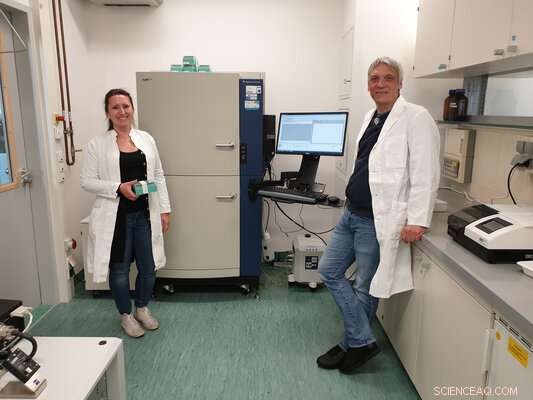 Understanding and Eliminating Bitterness in Stored Linseed Oil