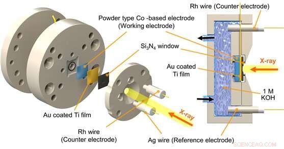 Radiation Accelerators: A Key Driver for Carbon‑Neutral Technology