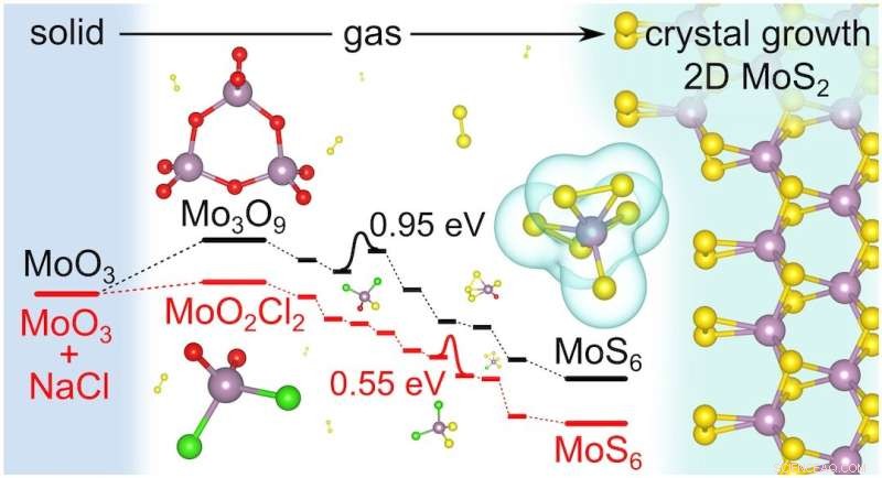 How Common Salt Accelerates 2D Molybdenum Disulfide Production