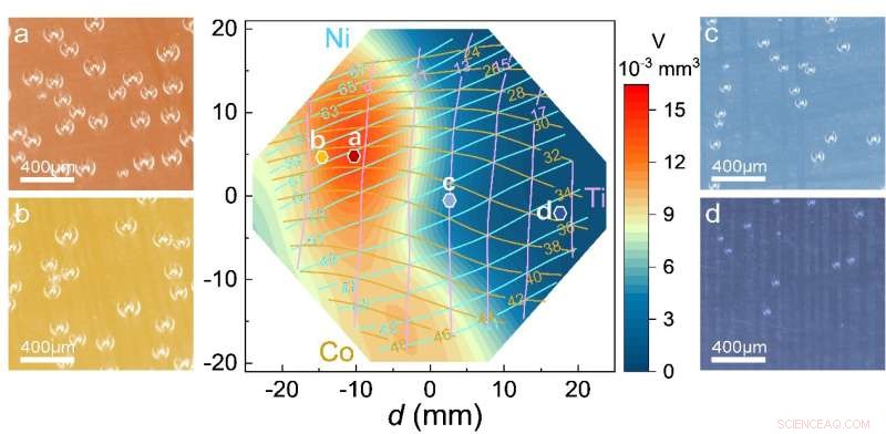 NIMTE’s Combinatorial High‑Throughput Screening Identifies Superior Hydrogen Evolution Catalysts