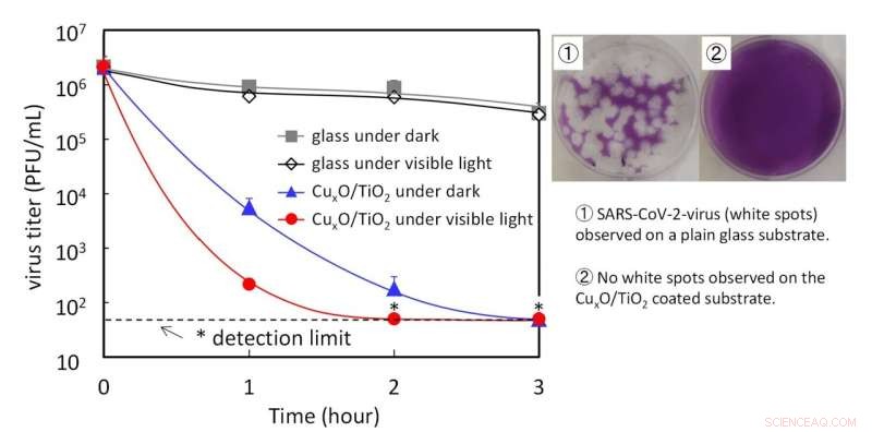 Indoor-Active Photocatalyst Coating Neutralizes All COVID-19 Variants