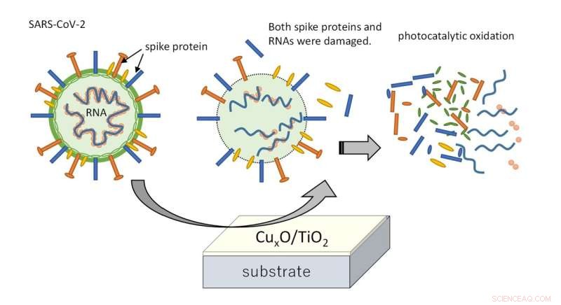 Indoor-Active Photocatalyst Coating Neutralizes All COVID-19 Variants