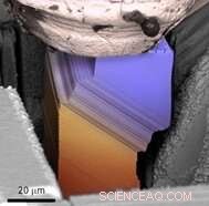 Micron-Scale Metals Reveal the Smallest Earthquakes Recorded