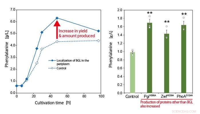 New G6P Secretion Mechanism Unveiled: Boosting Sustainable Bioproduction of Aromatic Chemicals