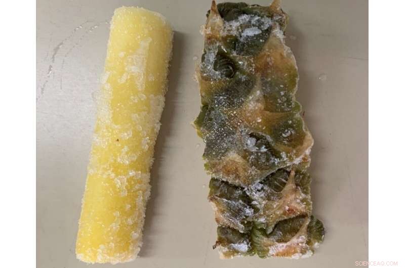 Innovative Pineapple‑Residue Plastic: Sustainable, Bioactive Material for Food Preservation