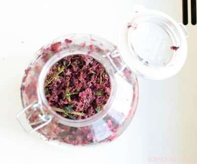 Researchers Bring 17th-Century Perfume of Constantijn Huygens Back to Life