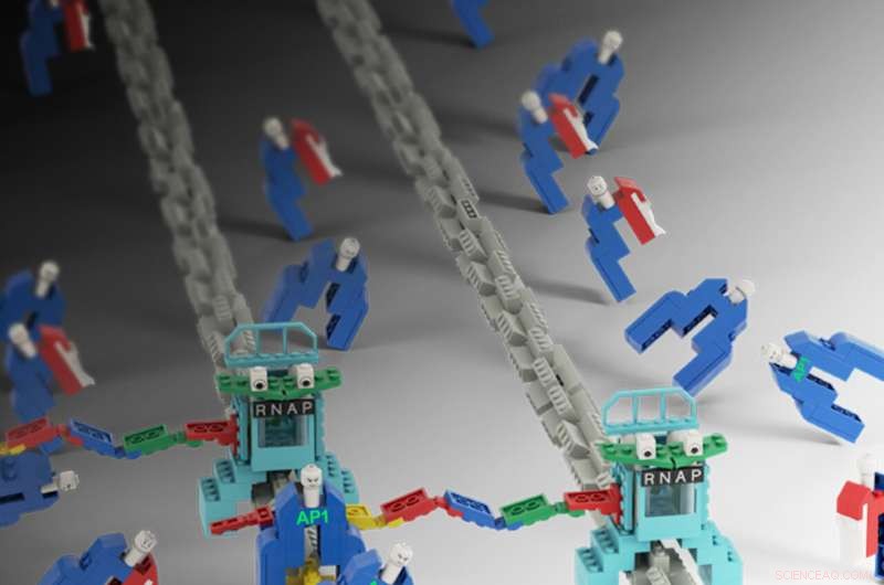 Revolutionary Screening Technique Accelerates Discovery of Cancer-Targeting Drugs