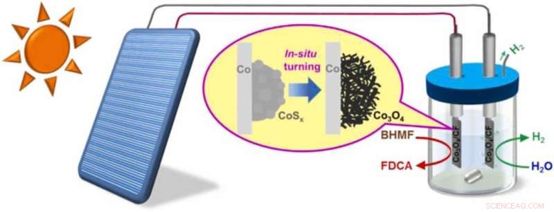 NIMTE s Co₃O₄ Electrocatalyst Enables Efficient Biomass Upgrading and Hydrogen Production