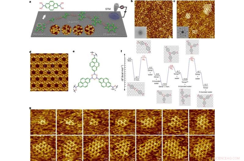 Visualizing Covalent Polymer Formation with a Scanning Tunneling Microscope