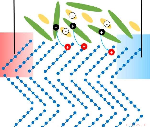 Body Heat to Power: Advances in Organic Thermoelectrics