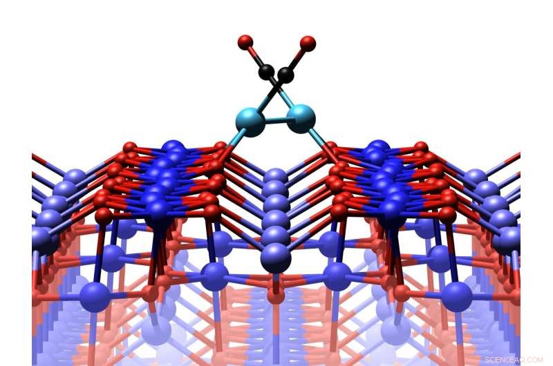 Innovations in Monoatomic Platinum Catalysts: Enhancing Catalytic Performance