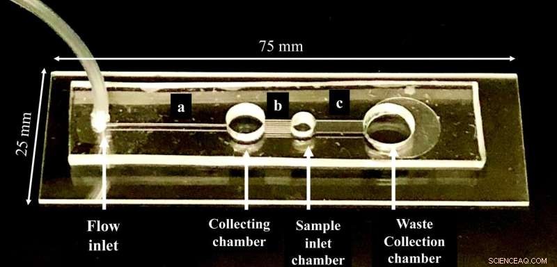 Microfluidic Device Guides Sperm Against Flow to Boost Fertility
