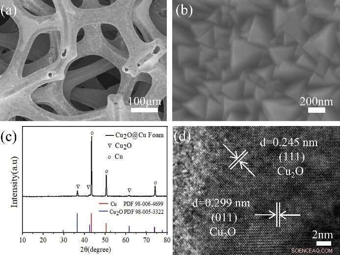 Efficient Electrocatalytic Nitrate-to-Nitrogen Conversion: A Proven Path to Clean Water