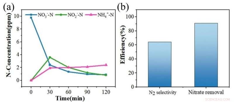 Efficient Electrocatalytic Nitrate-to-Nitrogen Conversion: A Proven Path to Clean Water