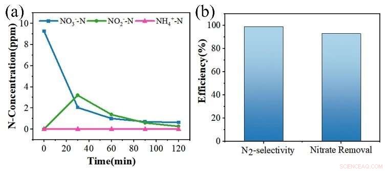 Efficient Electrocatalytic Nitrate-to-Nitrogen Conversion: A Proven Path to Clean Water