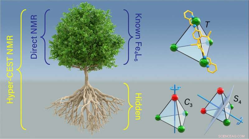 Hyper-CEST NMR Reveals Hidden Structures in Novel Metal-Organic Cages