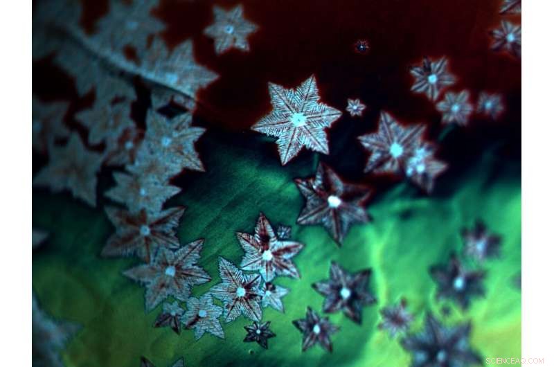 Carbon Monoxide Converts to Defect-Free Graphene Crystals Under Ambient Pressure