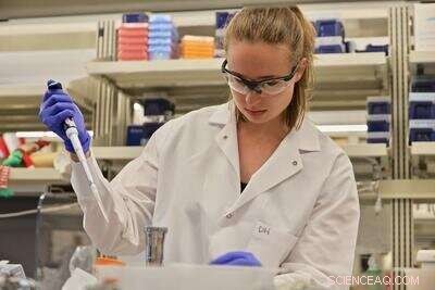 Yale Researchers Unveil Chemical Tool for Detecting Infection‑Driven Cancer Proteins