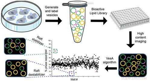 Advanced Biochemical Method Uncovers Novel Small Molecules in Lipid Rafts