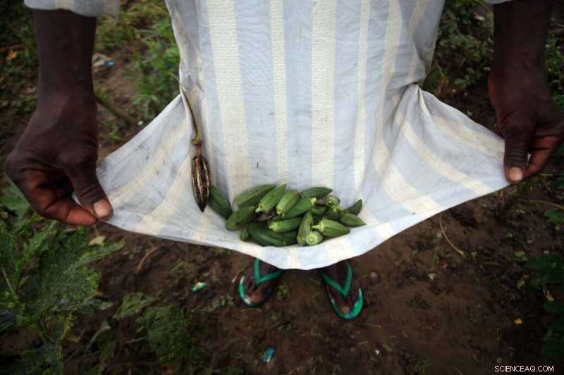 Scientists Discover Okra-Based Solution to Remove Microplastics from Wastewater