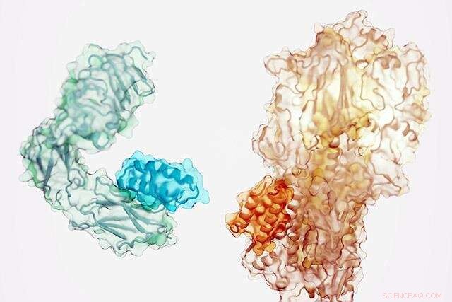 Revolutionary Computer-Designed Proteins Offer Precise Targeting for New Therapies