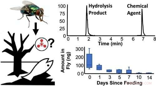 Using Blow Flies as Biological Sensors for Chemical Weapons and Environmental Pollutants