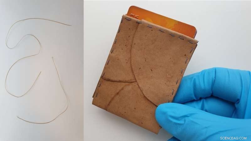 Fungus-Based Leather & Paper: Turning Food Waste into Sustainable, Eco-Friendly Materials
