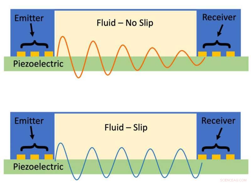 New NIST Technique Enhances Blood Flow Accuracy for Cancer Diagnosis and Beyond