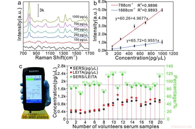 Innovative SERS Technique Enables Precise Quantification of Anticancer Drugs in Human Serum