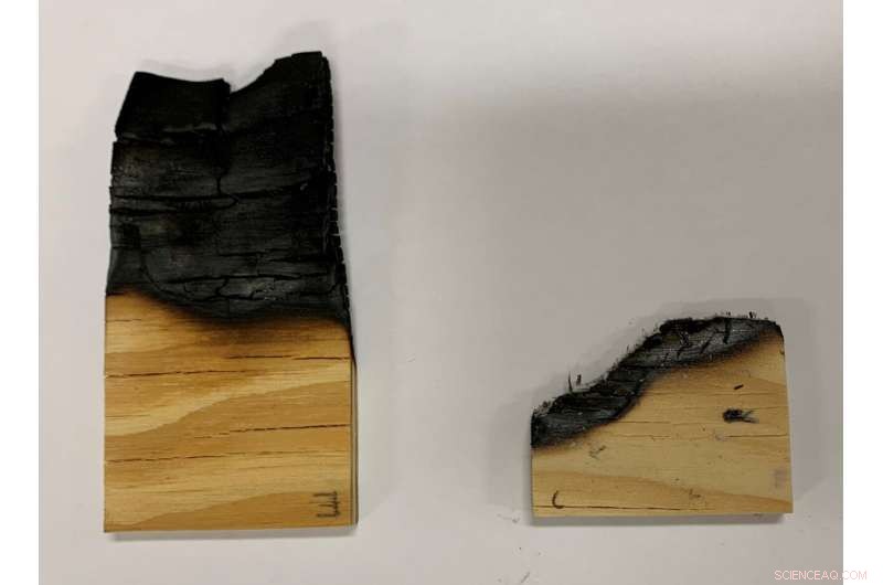 Eco-Friendly Coating Makes Wooden Construction Materials Fire-Resistant