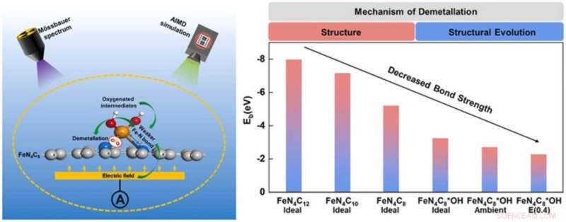 Researchers Identify Key Degradation Mechanisms in Non‑Precious Metal Fuel Cell Catalysts