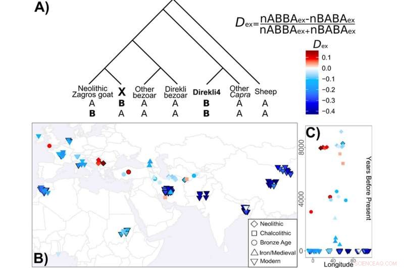 New Wild Goat Subspecies Identified from Ancient DNA – Geneticists Reveal Evolutionary Insights