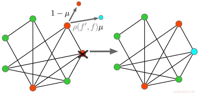 Which Population Structures Maximize Evolutionary Fitness? New Insights