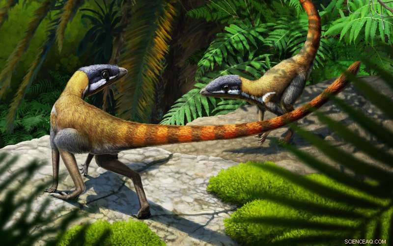 New Study Reveals 200‑Million‑Year‑Old Scottish Fossil as Early Pterosaur Ancestor