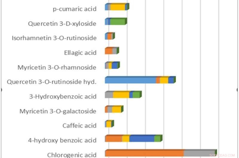 Exploring Turkey’s Wild, Nutritious Plants: Research & Recipes Show Their Health Benefits