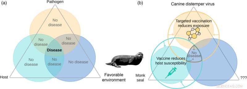 Proactive Strategies Proven Most Effective in Combating Marine Diseases, Study Finds