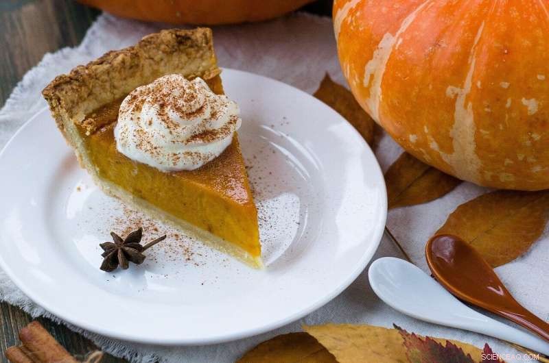Should You Refrigerate Pumpkin Pie? Essential Food Safety Tips for Pumpkin Season