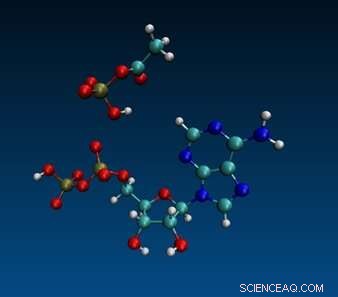 How Ancient Chemistry Illuminates ATP s Role as the Universal Energy Currency of Life