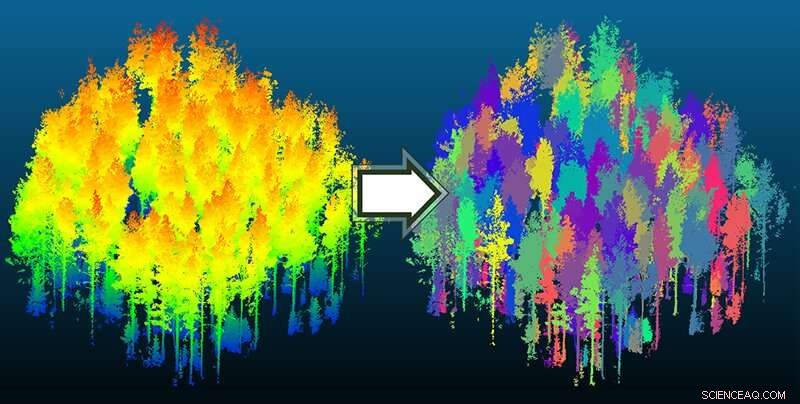 Purdue University Team Advances Automated Forest Mapping with Novel Tree Segmentation Algorithm
