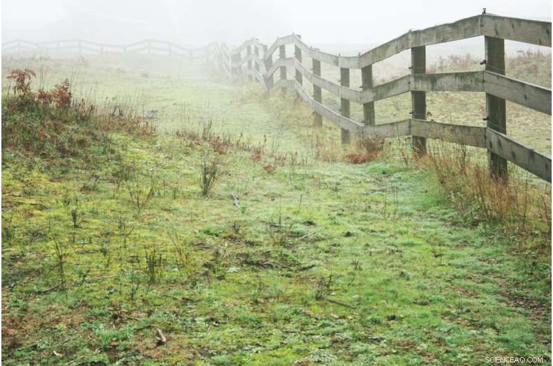 Rancher Insights Drive New Study on Coexisting Safely with Carnivores